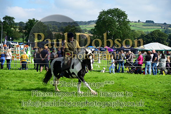 CHR_6653