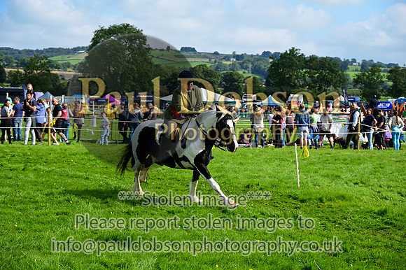 CHR_6654