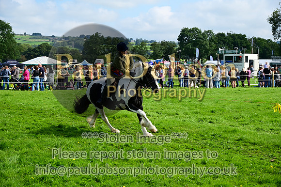 CHR_6655