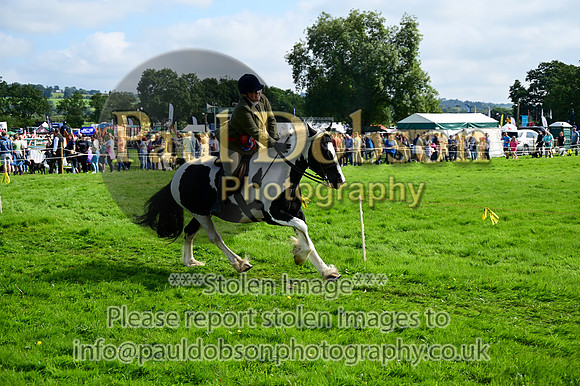 CHR_6656