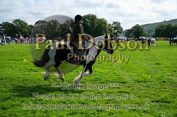 CHR_6658