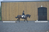 dressage-6448