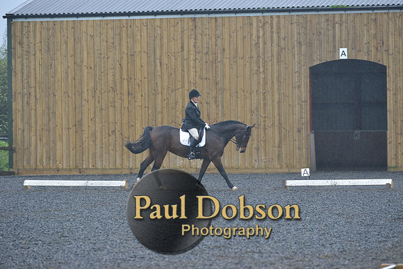 dressage-6448