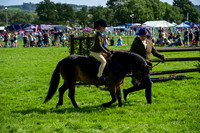 CHK_8339