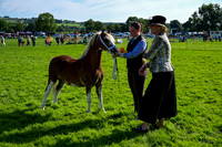 084_7496