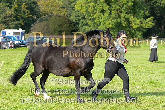 093_4826