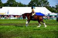 CHC_8265