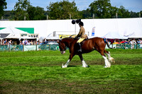 CHC_8266