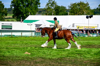 CHC_8267