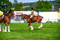 CHC_8269