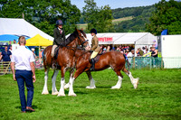 CHC_8270