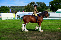 CHC_8273