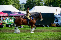 CHC_8275