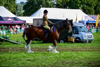 CHC_8276