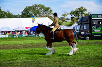 CHC_8278