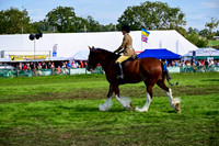 CHC_8279