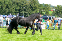 DAC_5467