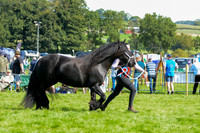 DAC_5468