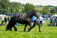 DAC_5470