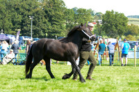 DAC_5472