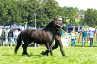 DAC_5471
