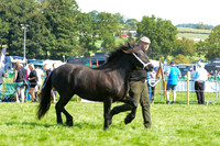 DAC_5473