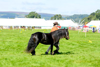 FPC_5724