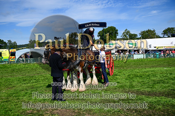 000_8558