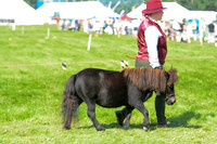 MSC_5697