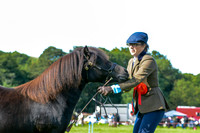 SSC_5267