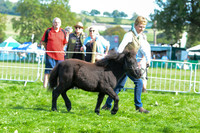 SSC_5273