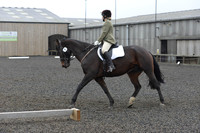 dressage-6277