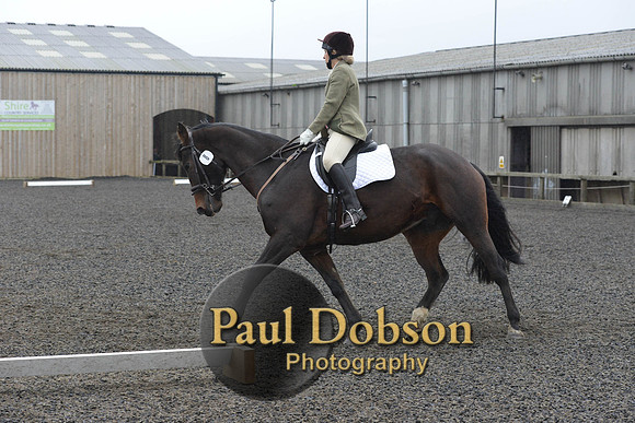 dressage-6277