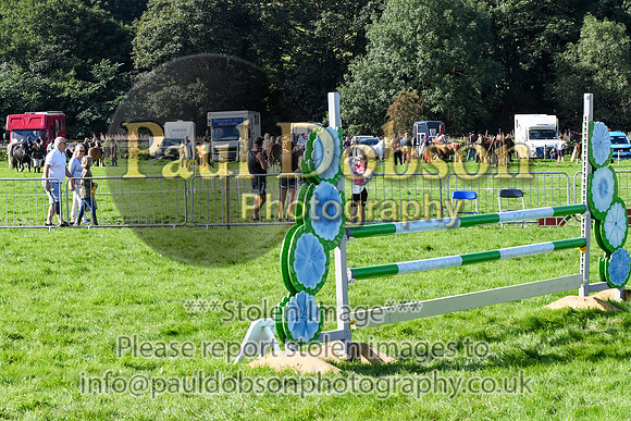 SJ1_3457