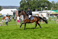 SJ3_3667