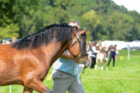 WDC_5317