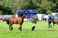 WDC_5319