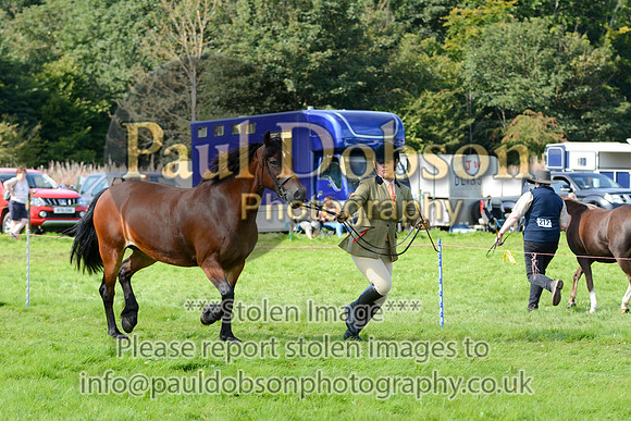 WDC_5319