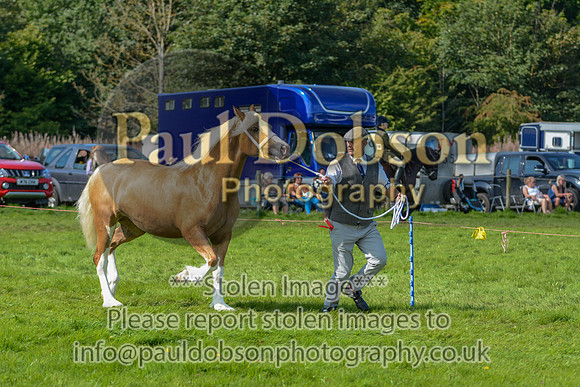 WDC_5339