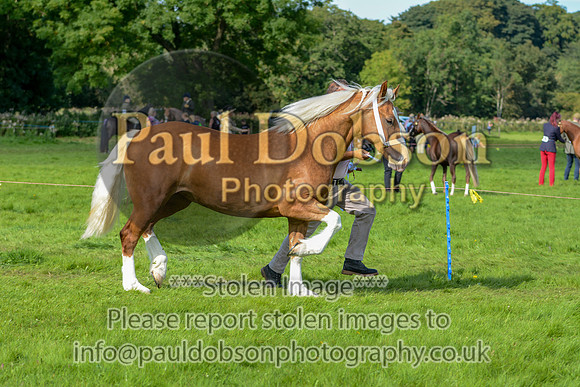 WDC_5359