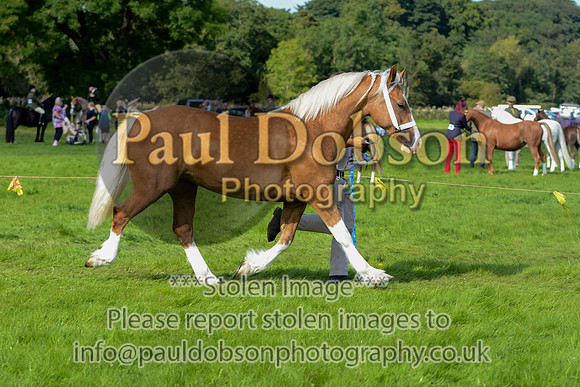 WDC_5360