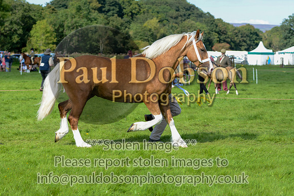 WDC_5362