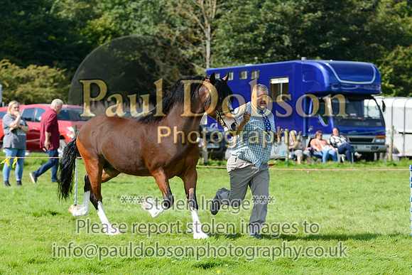 WDC_5365