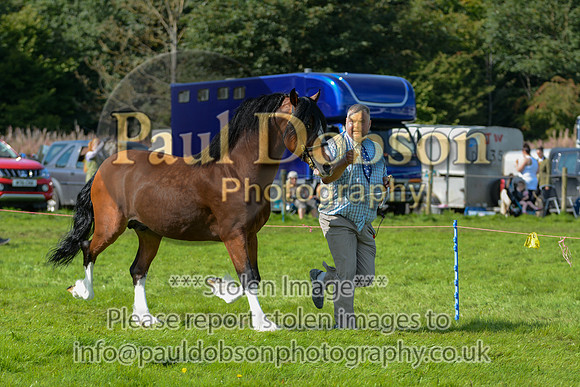 WDC_5367