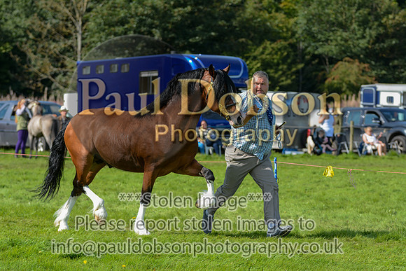 WDC_5368