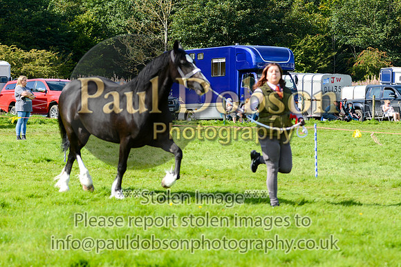WDC_5378