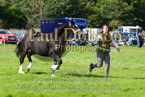 WDC_5379