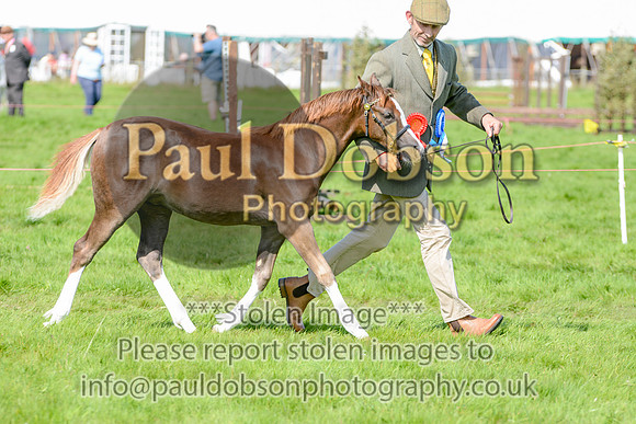 WSP_5638