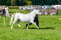 WSP_5644
