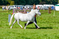 WSP_5646